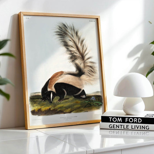 Framed artwork of two skunks on a shelf with a white lamp and 'Tom Ford Gentle Living' book.