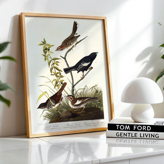 Framed artwork of birds on a branch with a white lamp and books in the background.