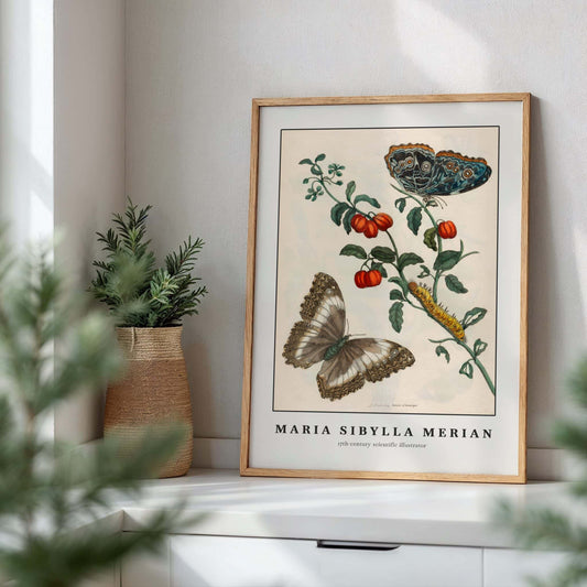 Two butterflies and a caterpillar by Maria Sibylla Merian, botanical print, nature decor, German scientific illustration, botanical, office wall art, framed wall art, art poster
