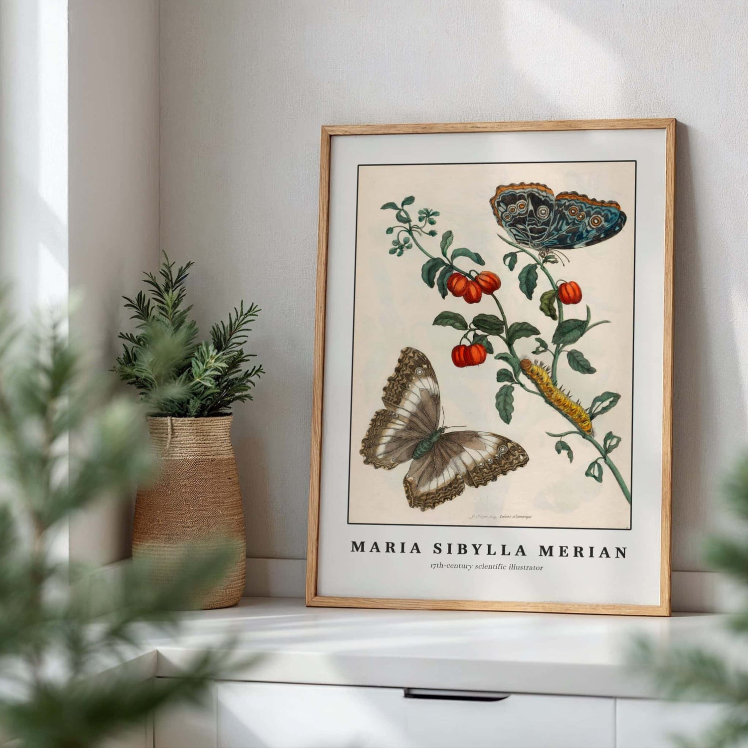 Floral and botanical