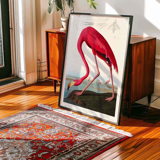 American Flamingo by John James Audubon. Framed artwork of a pink flamingo on a wooden floor with a rug and cabinet in the background.