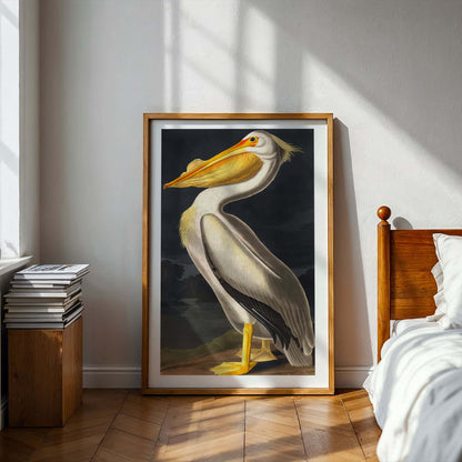 American White Pelican by John James Audubon, wildlife wall art, antique illustration, American ornithology, natural history, living room wall art, framed wall art, art poster