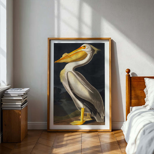 American White Pelican by John James Audubon. Framed artwork of a pelican on a wall in a bedroom