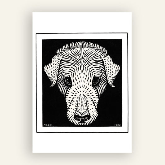 Dog (1921) | De Graag, Julie | White background