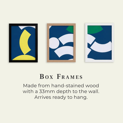 Three abstract art prints in different frames on a white wall with text about box frames.
