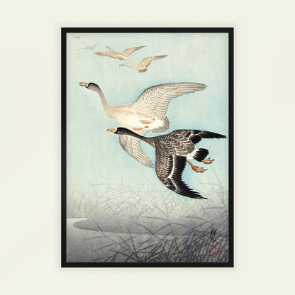 Great Geese in Flight by Ohara Koson, home office decor, animal print, Japanese Japanese, woodblock, vintage poster, framed wall art, art poster