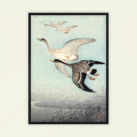 Framed artwork of two geese flying over water with reeds on a light background. Great Geese in Flight by Ohara Koson