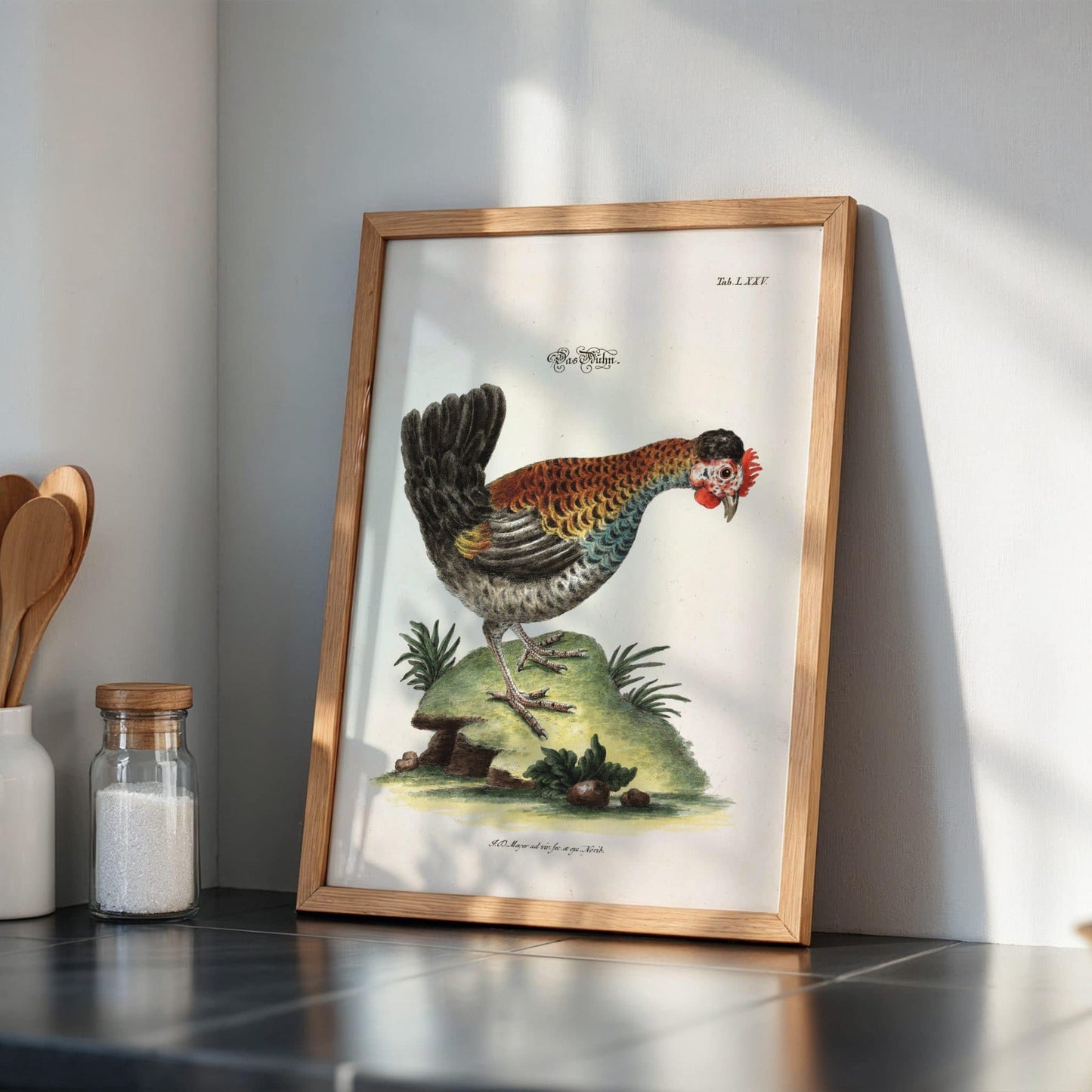 Hen by Johann Daniel Meyer, natural history print, wildlife wall art, German scientific, animal engraving, gallery wall decor, framed wall art, art poster