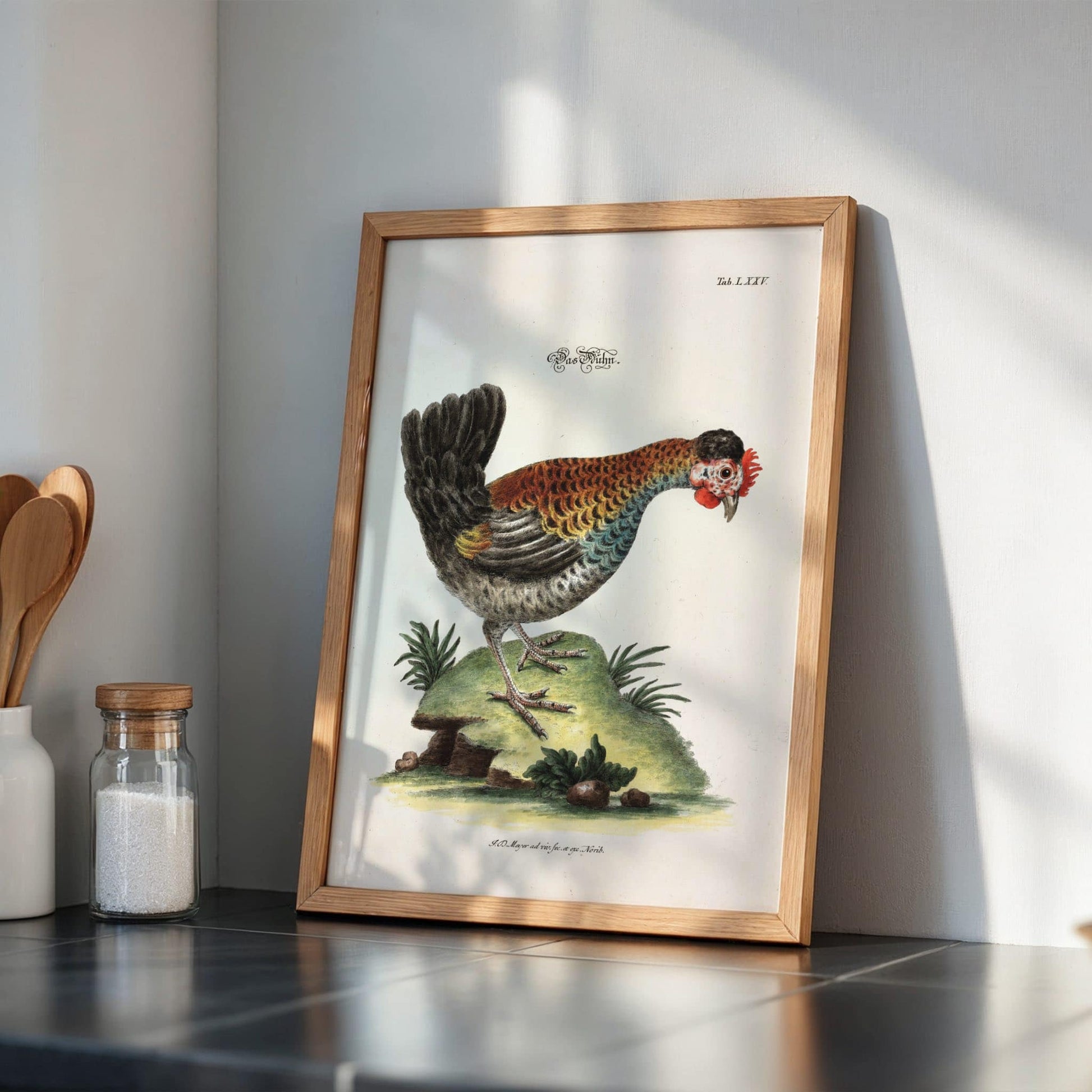 Hen by Johann Daniel Meyer, natural history print, wildlife wall art, German scientific, animal engraving, gallery wall decor, framed wall art, art poster