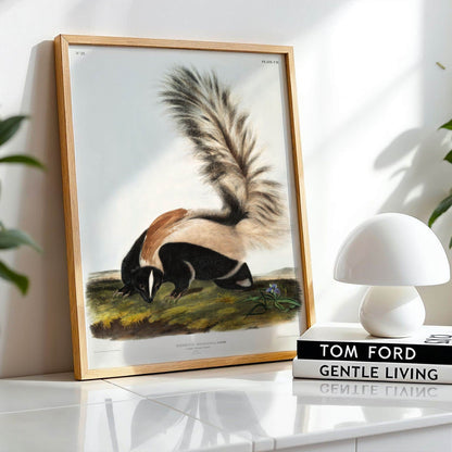 Large-tailed Skunk by John James Audubon, animal print, nature poster, American bird, wildlife, vintage poster, framed wall art, art poster