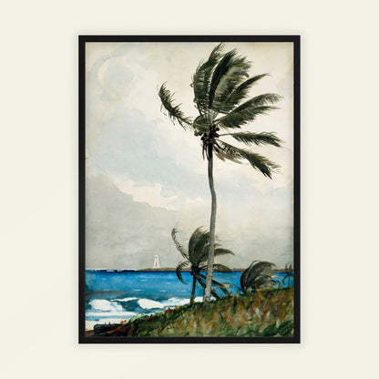 Palm Tree, Nassau by Winslow Homer, nature decor, nautical print, American seascape, marine, unique art print, framed wall art, art poster