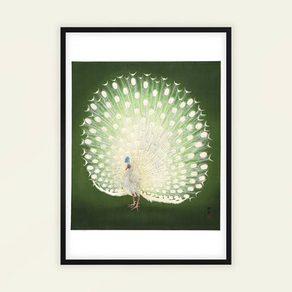 Peacock by Ohara Koson, animal print, nature poster, Japanese shin-hanga, bird, home decor print, framed wall art, art poster