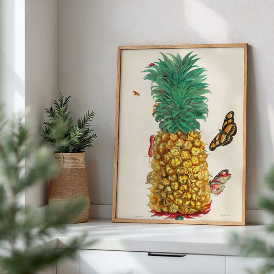 Pineapple by Maria Sibylla Merian. Framed artwork of a pineapple with butterflies on a shelf with plants.
