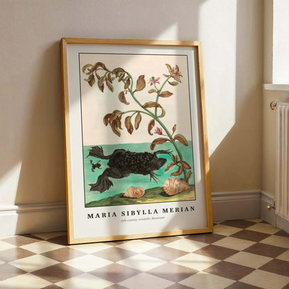 Suriname Toad by Maria Sibylla Merian, nature poster, flower wall art, German Suriname, insect, small art print, framed wall art, art poster
