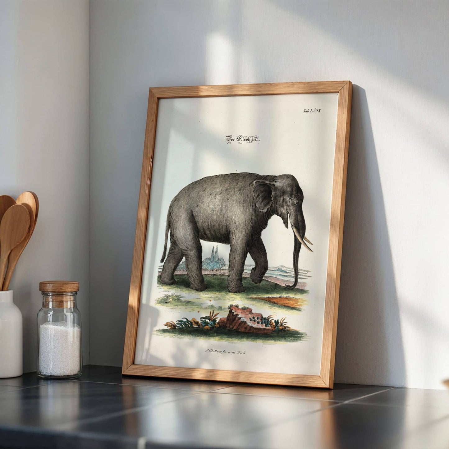 The Elephant by Johann Daniel Meyer, wildlife wall art, antique illustration, German animal engraving, zoological, statement print, framed wall art, art poster