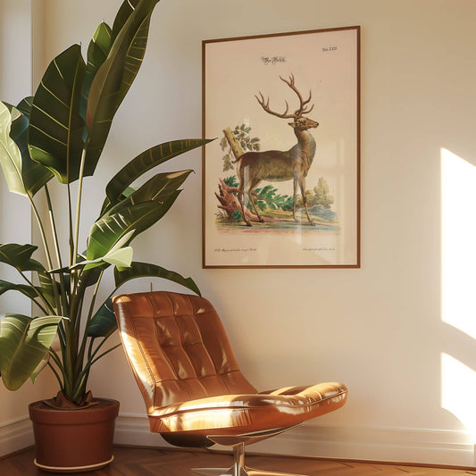 The Stag by Johann Daniel Meyer. Brown leather chair next to a potted plant with a framed deer print on the wall.