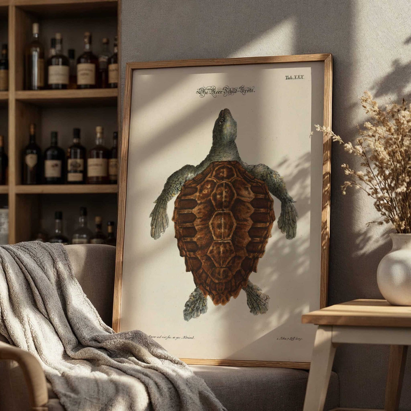 Tortoise by Johann Daniel Meyer, natural history print, wildlife wall art, German scientific, animal engraving, modern home decor, framed wall art, art poster