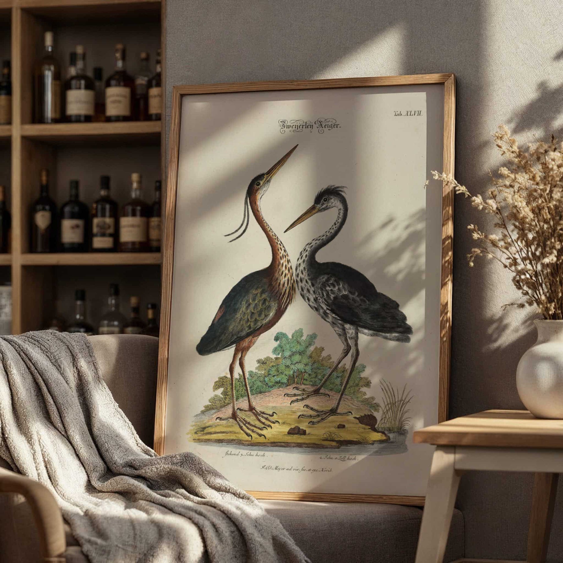 Two Purple Herons by Johann Daniel Meyer, nature poster, natural history print, German antique, scientific, statement print, framed wall art, art poster