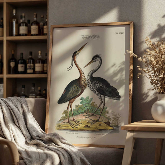 Two Purple Herons by Johann Daniel Meyer, nature poster, natural history print, German antique, scientific, statement print, framed wall art, art poster