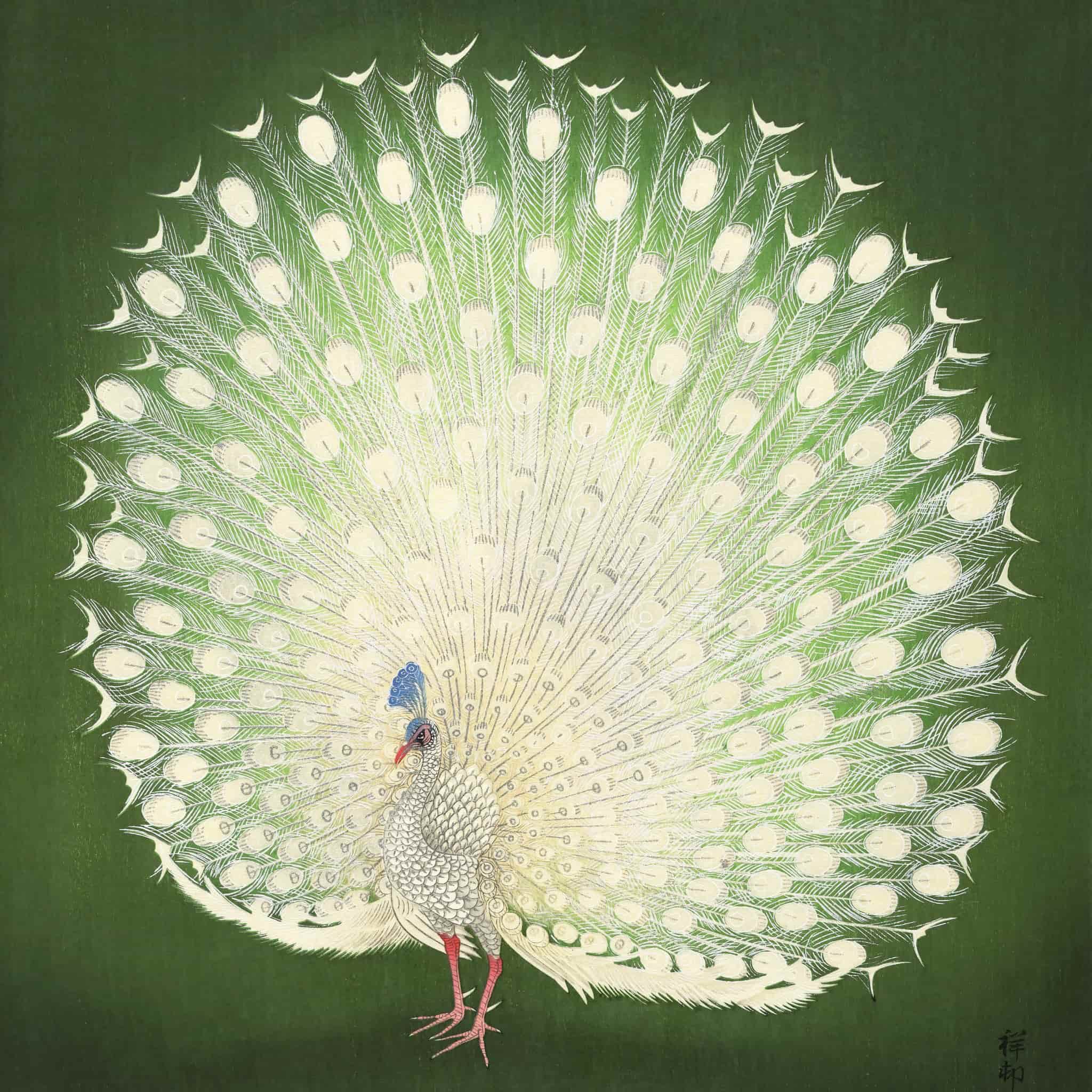 Artistic depiction of a peacock with its feathers spread wide on a green background